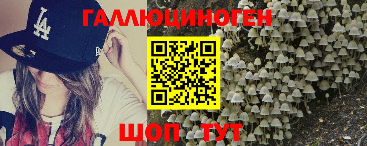 Псилоцибиновые грибы Psilocybe  Вход с VPN  Троицк  Галлюциногенные грибы мухоморы 